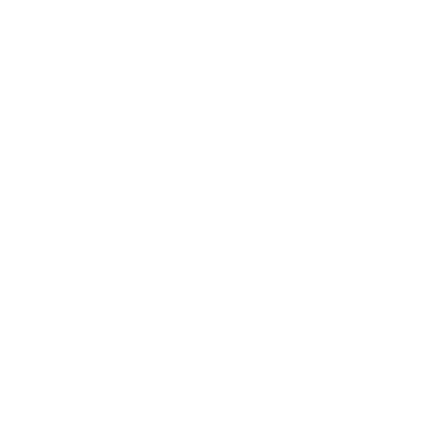 Car Battery Icon White