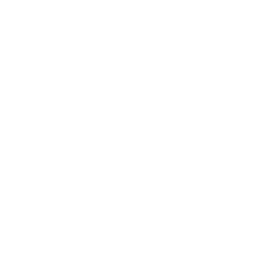 Special Vehicle Icon White