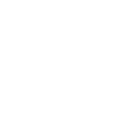 Vehicle Lockout Icon White
